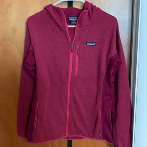 Patagonia Better Sweater Hoody